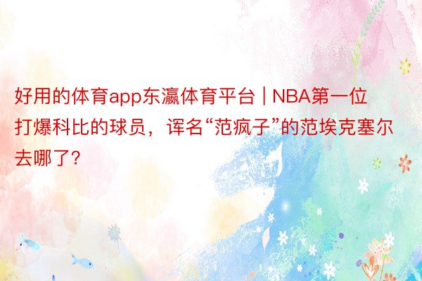 好用的体育app东瀛体育平台 | NBA第一位打爆科比的球员，诨名“范疯子”的范埃克塞尔去哪了？